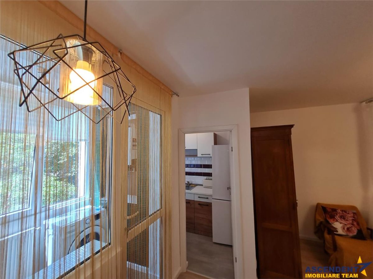 Garsoniera Renovata, Piata Dacia, Bulevardul Victoriei, Brasov - foto 24