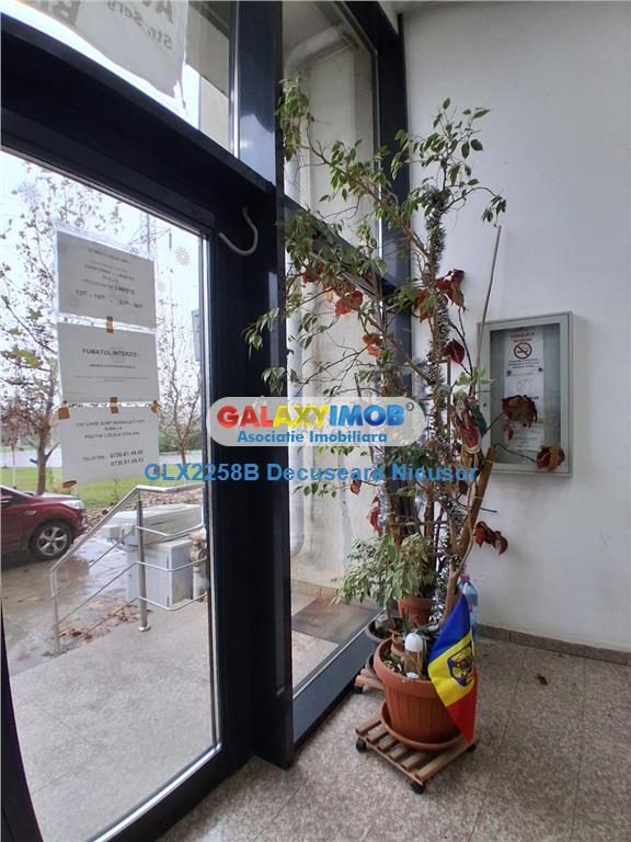 Garsoniera mobilata utilata in Pollux Residence, 250 Euro - foto 3