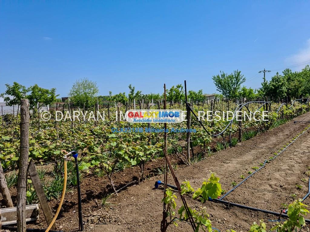 Teren in Poienari Apostoli, 21 E/mp, Avantajos, DN1, 34.500 euro - foto 2