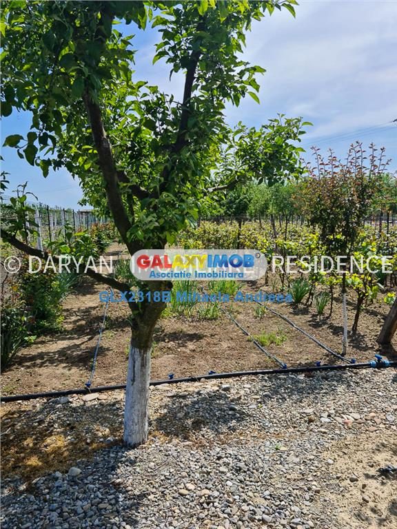 Teren in Poienari Apostoli, 21 E/mp, Avantajos, DN1, 34.500 euro - foto 11