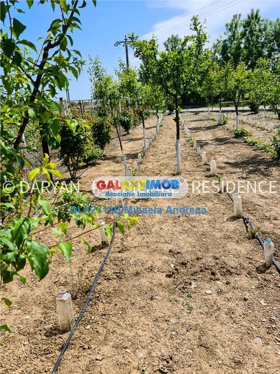 Teren in Poienari Apostoli, 21 E/mp, Avantajos, DN1, 34.500 euro - foto 12