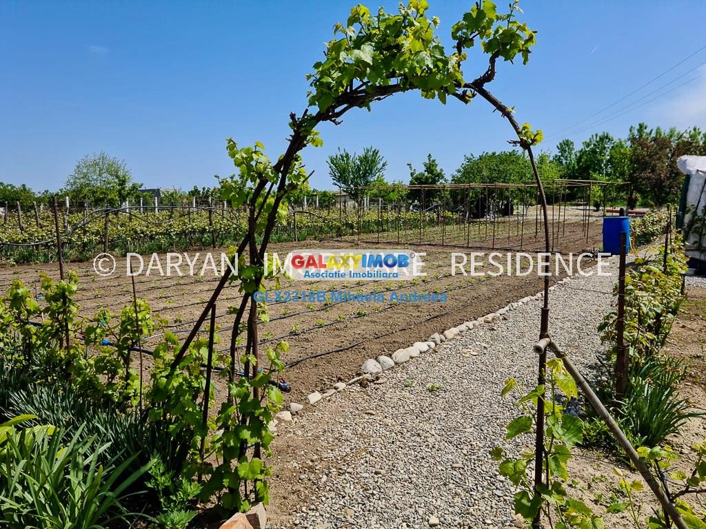 Teren in Poienari Apostoli, 21 E/mp, Avantajos, DN1, 34.500 euro - foto 15