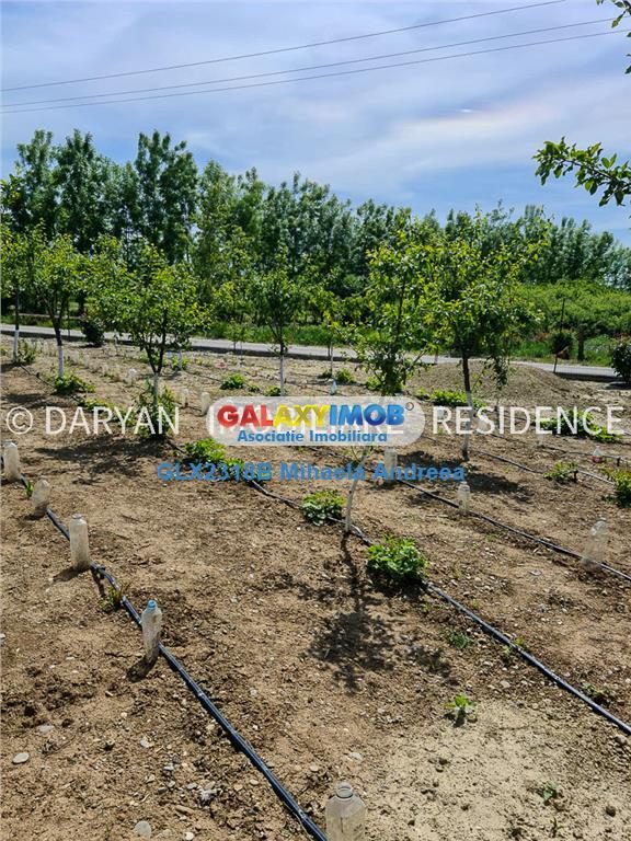 Teren in Poienari Apostoli, 21 E/mp, Avantajos, DN1, 34.500 euro - foto 4