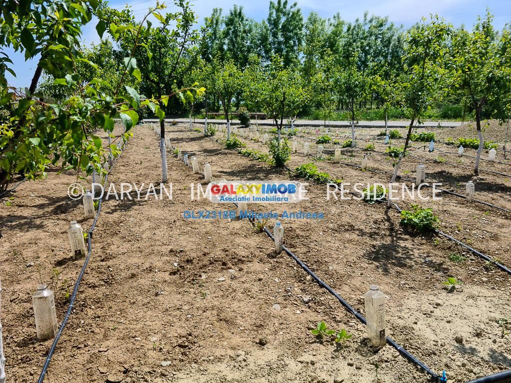 Teren in Poienari Apostoli, 21 E/mp, Avantajos, DN1, 34.500 euro - foto 5