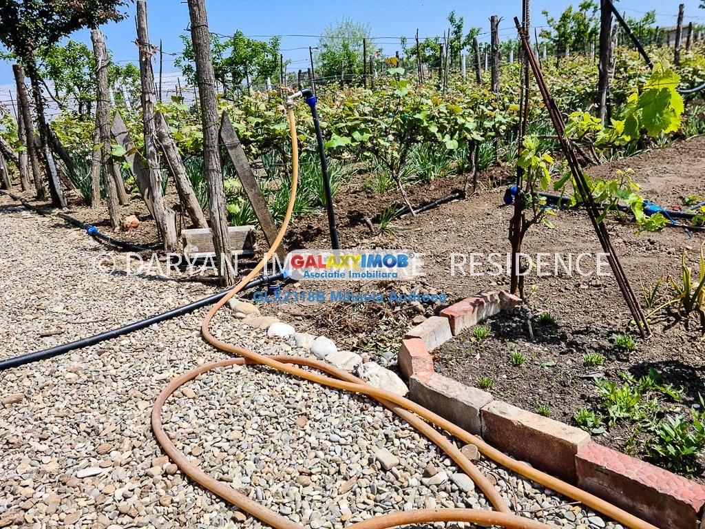 Teren in Poienari Apostoli, 21 E/mp, Avantajos, DN1, 34.500 euro - foto 9