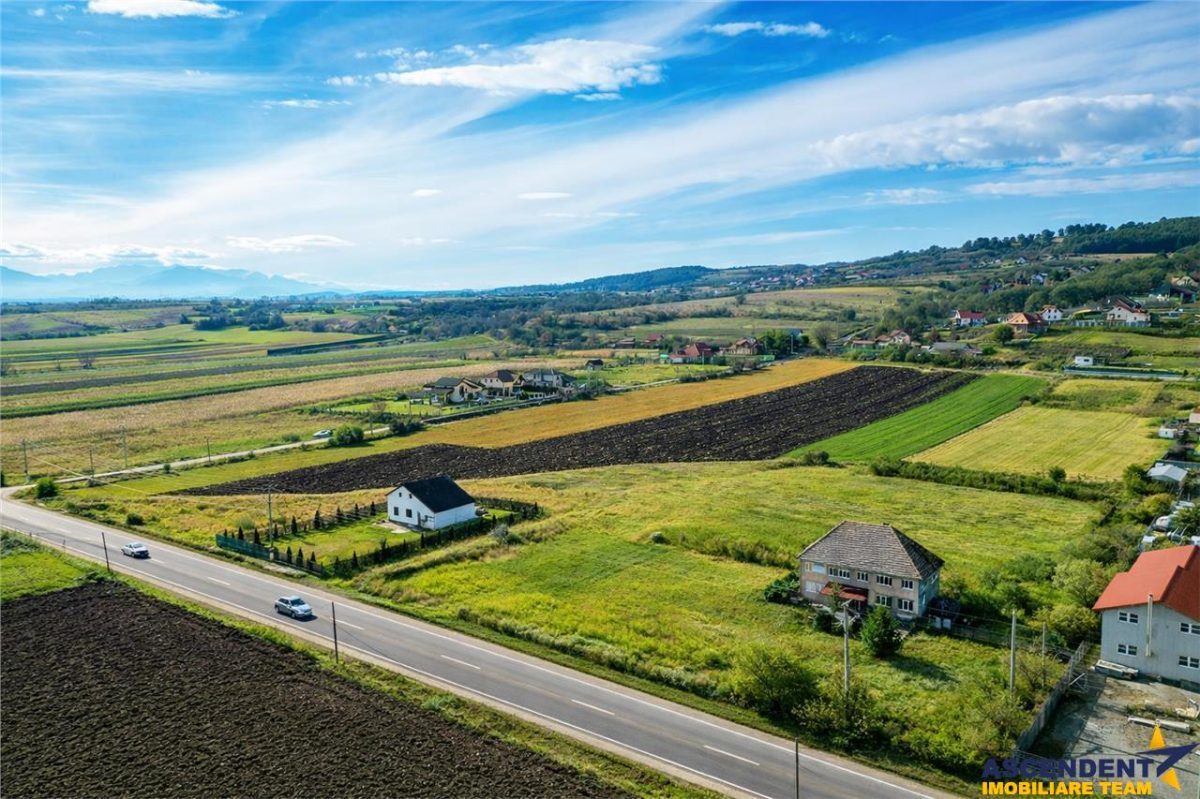 Proprietate remarcabila: 32.000mp teren, acces direct DJ112,Ilieni,Covasna - foto 4