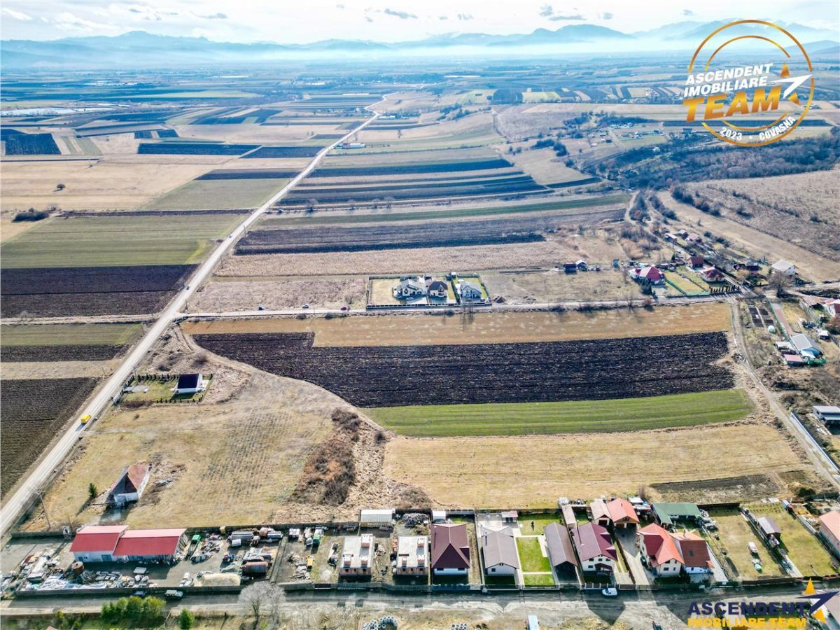 Proprietate remarcabila: 32.000mp teren, acces direct DJ112,Ilieni,Covasna - foto 7
