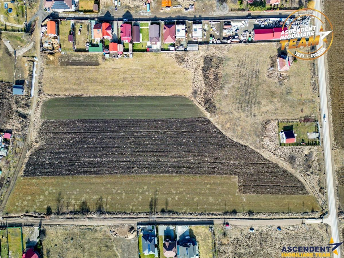 Proprietate remarcabila: 32.000mp teren, acces direct DJ112,Ilieni,Covasna - foto 10