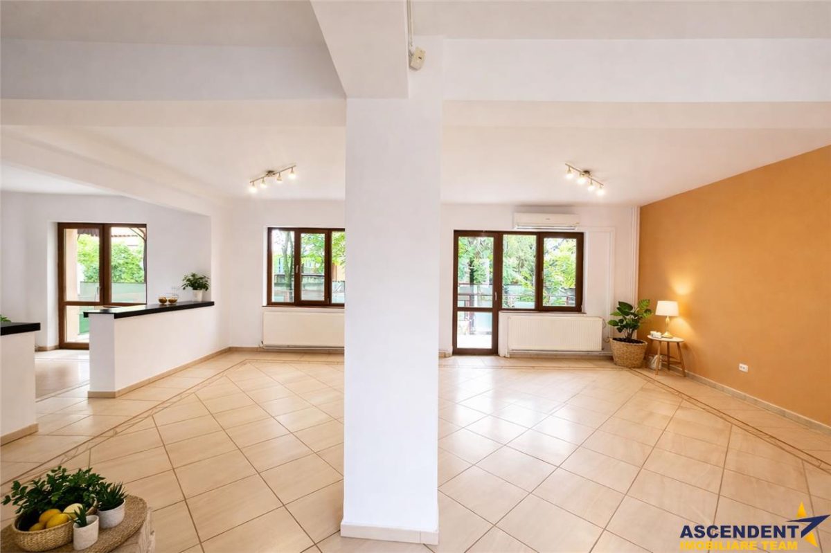 Vila impetuoasa pe 700mp teren:Spatiu versatil pentru locuinta/afacere Premium - 