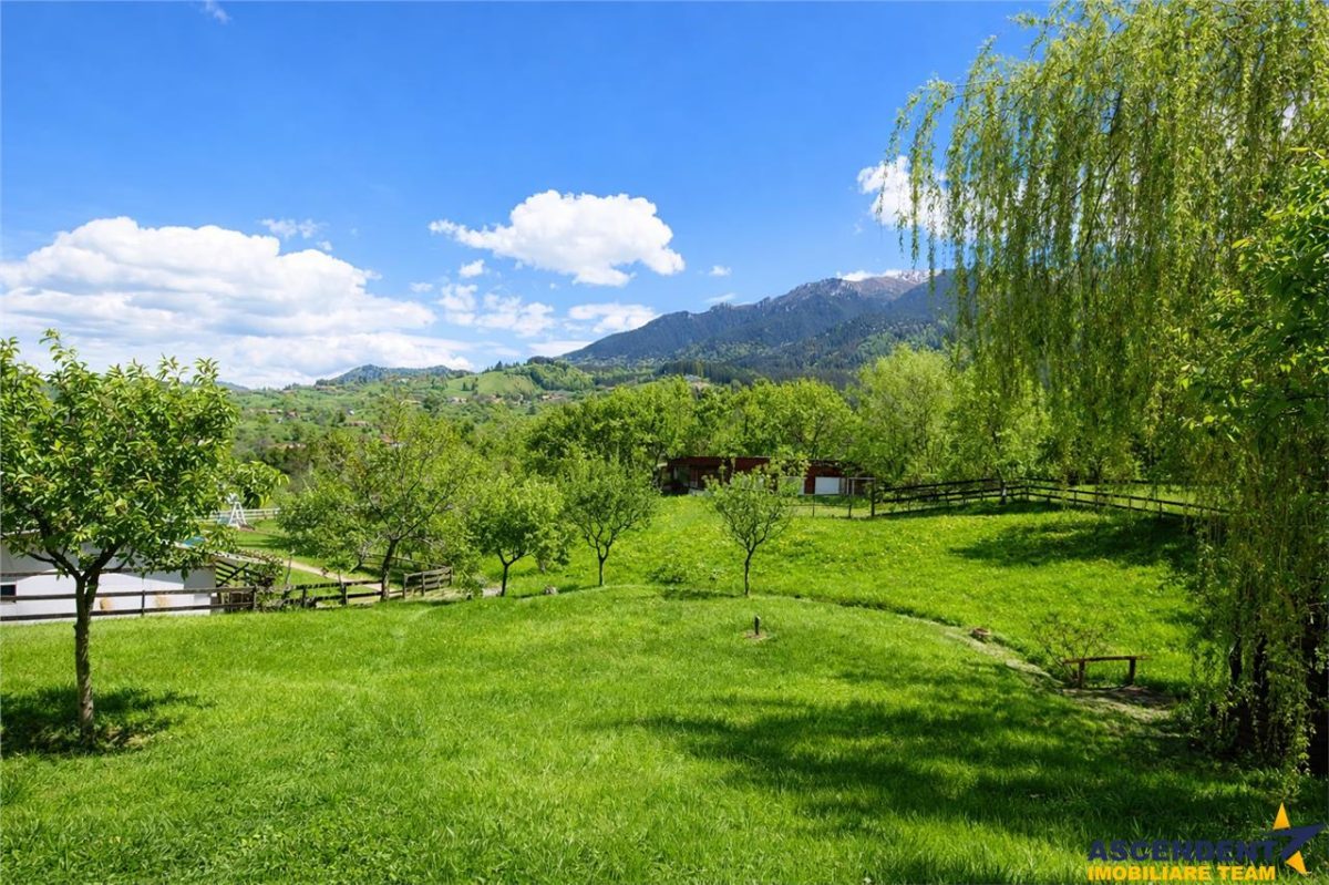 Pensiune:3 km de Castelul Bran, 2.900mp teren, aviz ISU, predare la cheie - foto 15