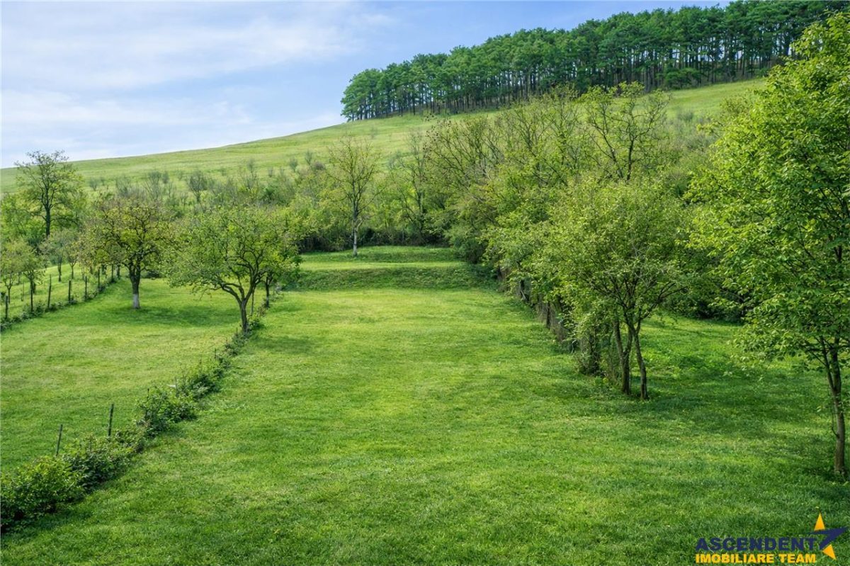 Rezidenta renovata+edificiu +1.500mp teren,Sanpetru,Brasov - 