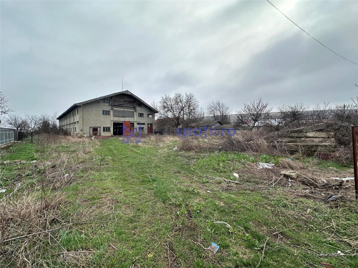 Hala, spatiu comercial, vad, de la 423mp la 1744mp, Vama Albita - foto 17