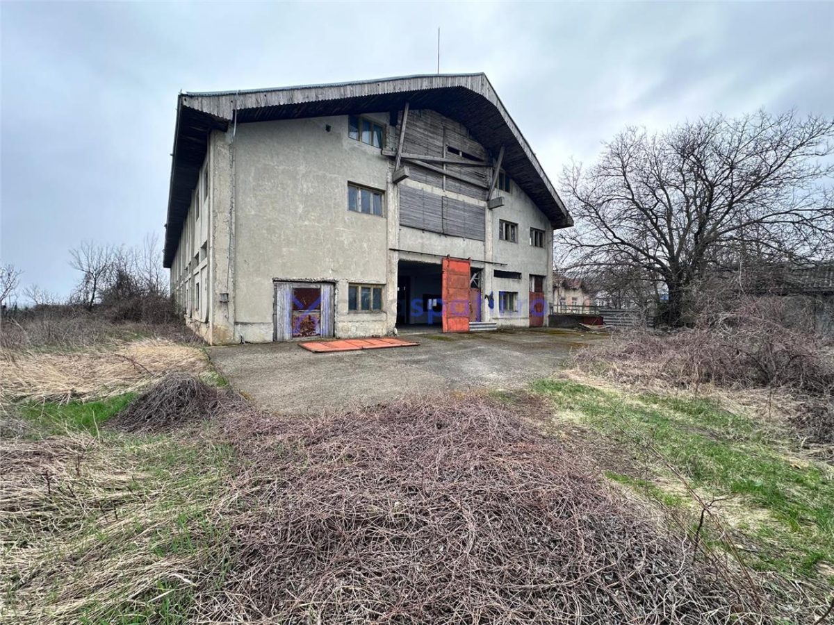 Hala, spatiu comercial, vad, de la 423mp la 1744mp, Vama Albita - foto 8