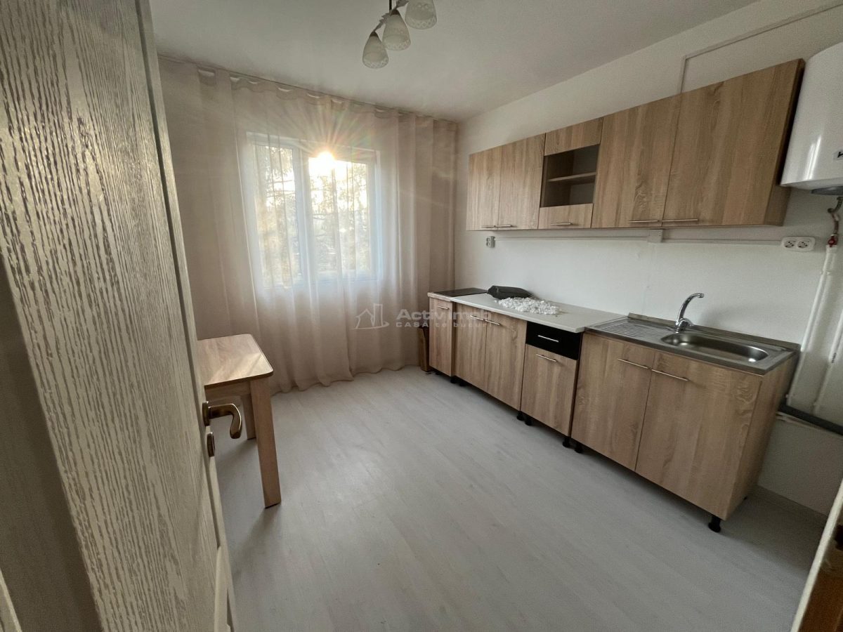 Caransebes, CHIRIE, 1Camera Dec., Balta Sarata - foto 3