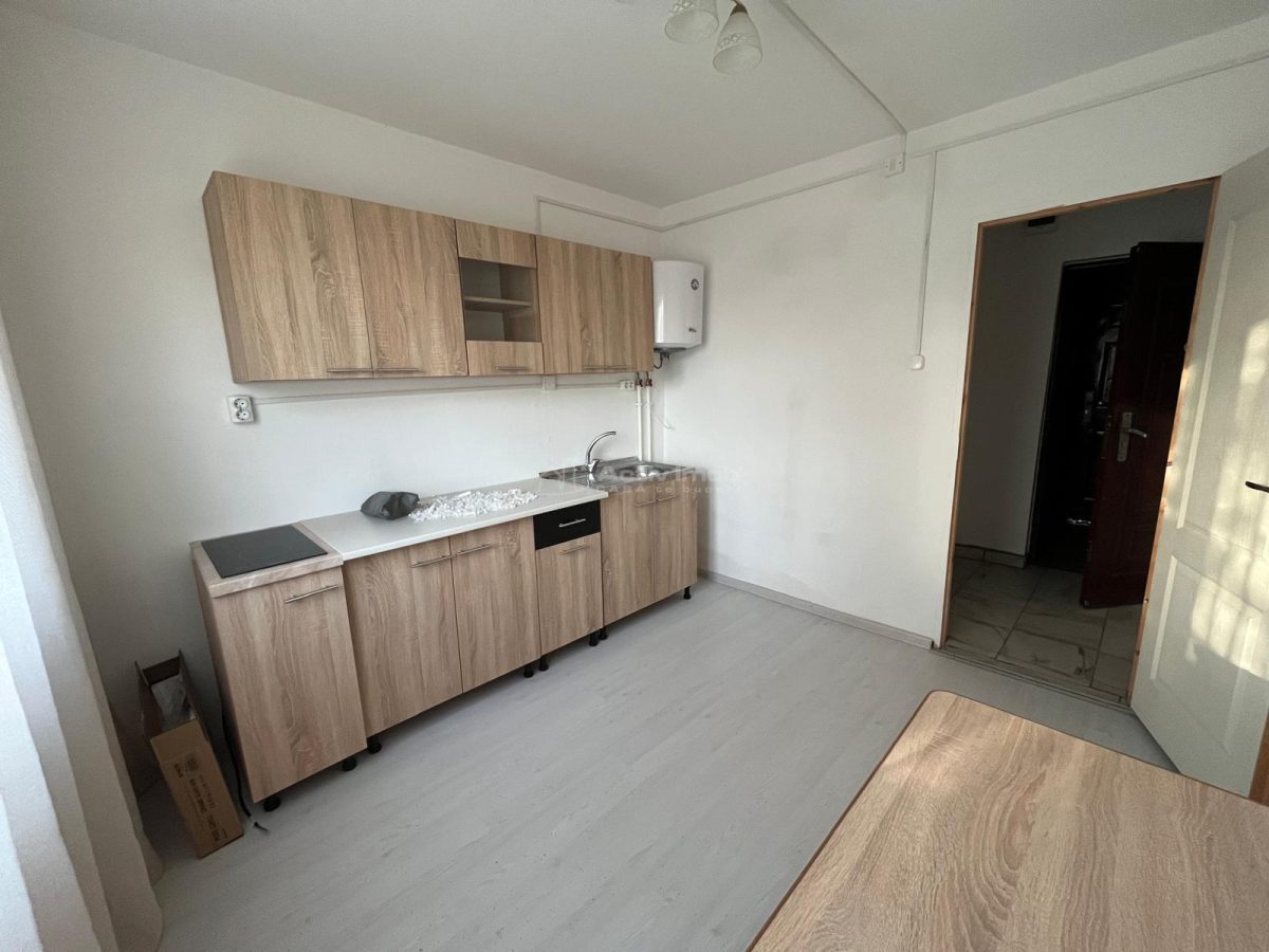 Caransebes, CHIRIE, 1Camera Dec., Balta Sarata - foto 5