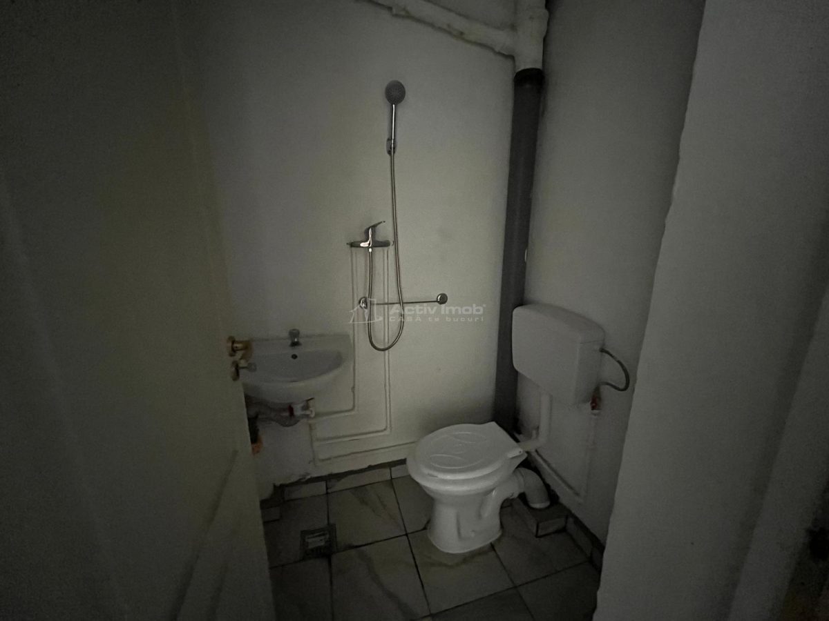 Caransebes, CHIRIE, 1Camera Dec., Balta Sarata - foto 6