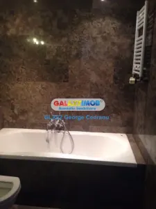 Inchiriere spatiu bioru, centrala proprie 60mp blvd Unirii Traian - foto 12