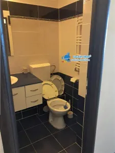 de inchiriat gars 42 mp  fratii golesti  la cheie - foto 11