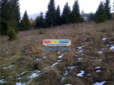 Teren pentru Complex Turistic - 12 730 mp  - Vatra Dornei - foto 6