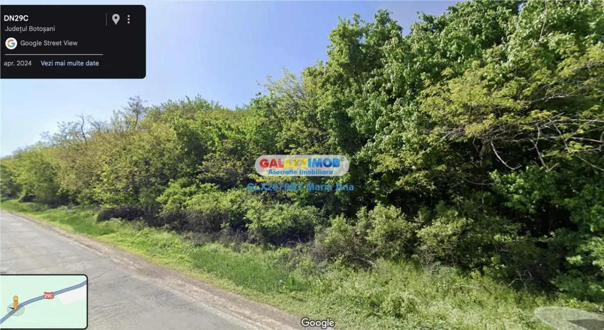 Teren Padure 6.500 mp., la strada, zona Cucorani! - foto 1