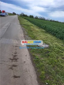 Teren Autostrada A3 Moara Vlasiei 26000 mp  Industrial Depozitare - foto 2