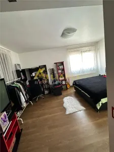 CASA INDIVIDUALA 4 CAMERE - PIATA SUDULUI - foto 12