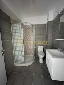 Apartament 3 camere Drumul Binelui Aparatorii Patriei 15 minute - foto 5