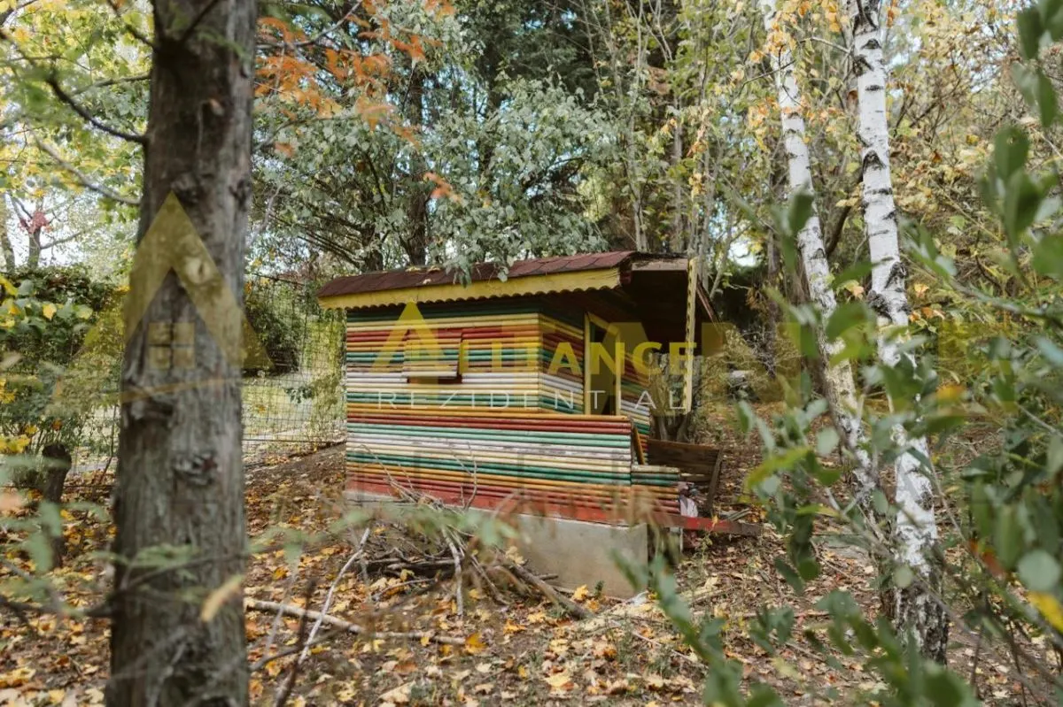 Proprietate Exclusivista cu Deschidere Spectaculoasa la Apa - Domeniu Privat cu Ponton si Teren Generos de 1800 mp - foto 18