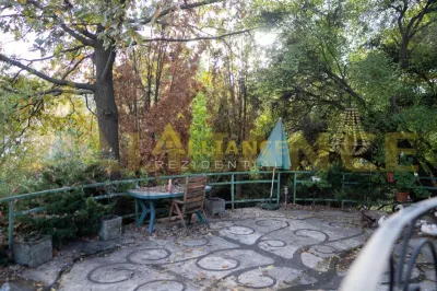 Proprietate Exclusivista cu Deschidere Spectaculoasa la Apa - Domeniu Privat cu Ponton si Teren Generos de 1800 mp - foto 24