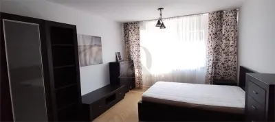 Apartament 1 camera - Pacurari - Moara de Foc - foto 1