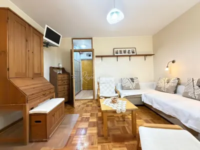 Garsoniera de inchiriat - STR. ELEV STEFAN STEFANESCU - foto 11