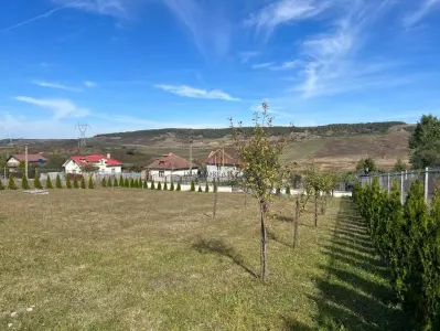 Teren extravilan de vanzare in Salistea Veche - foto 7