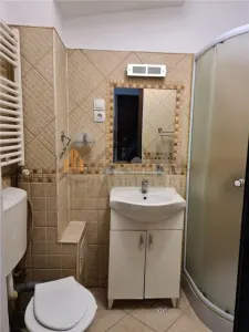 Inchiriere apartament 1 camera - Podu de Fier - foto 9