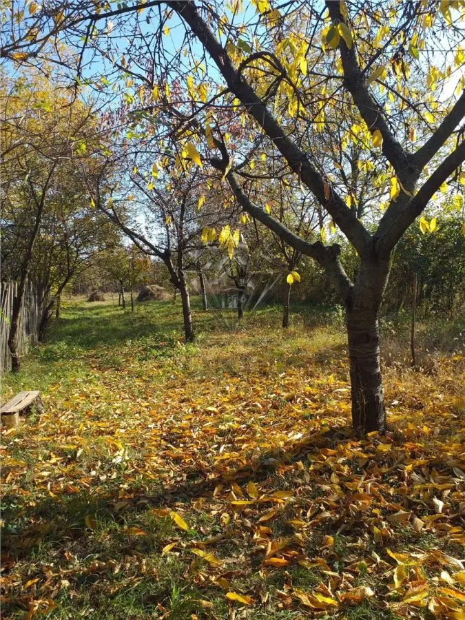 Casa de vanzare in Cocorastii Caplii la 7 KM de Campina - foto 14