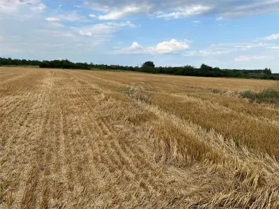 Teren intravilan 7100 mp de vanzare in Paulesti, Cocosesti â€“ ideal pentru locuinte P+2E - foto 1