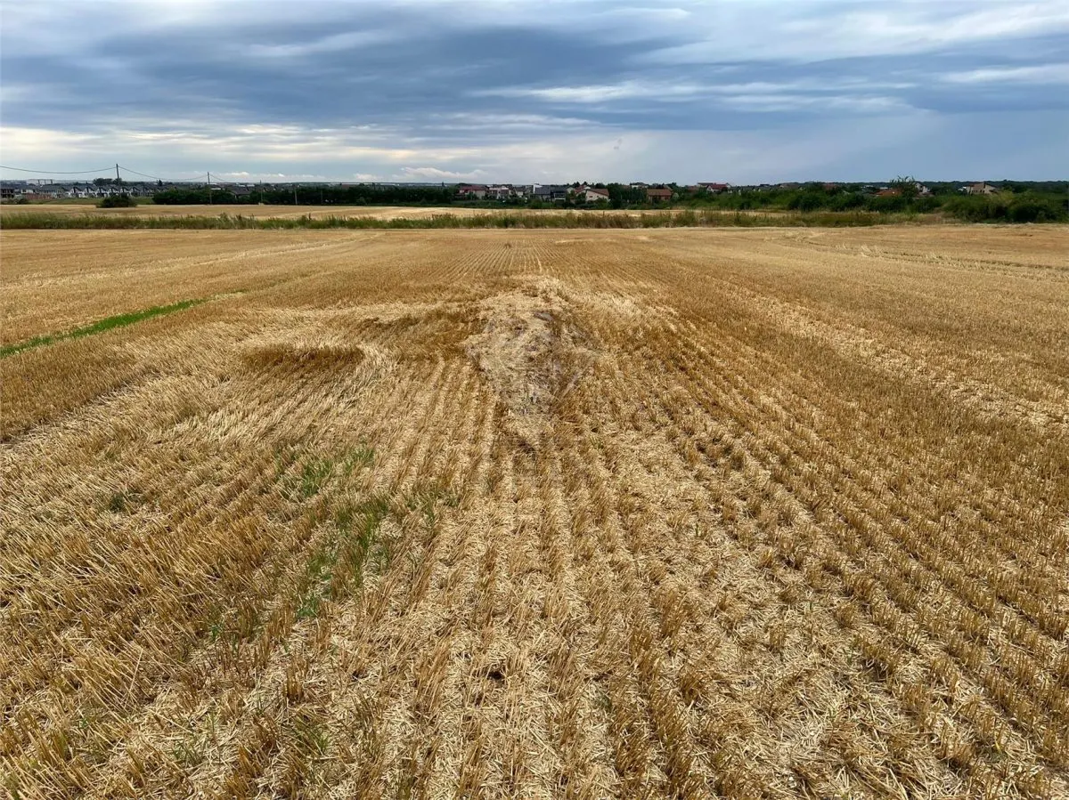 Teren intravilan 7100 mp de vanzare in Paulesti, Cocosesti â€“ ideal pentru locuinte P+2E - foto 2