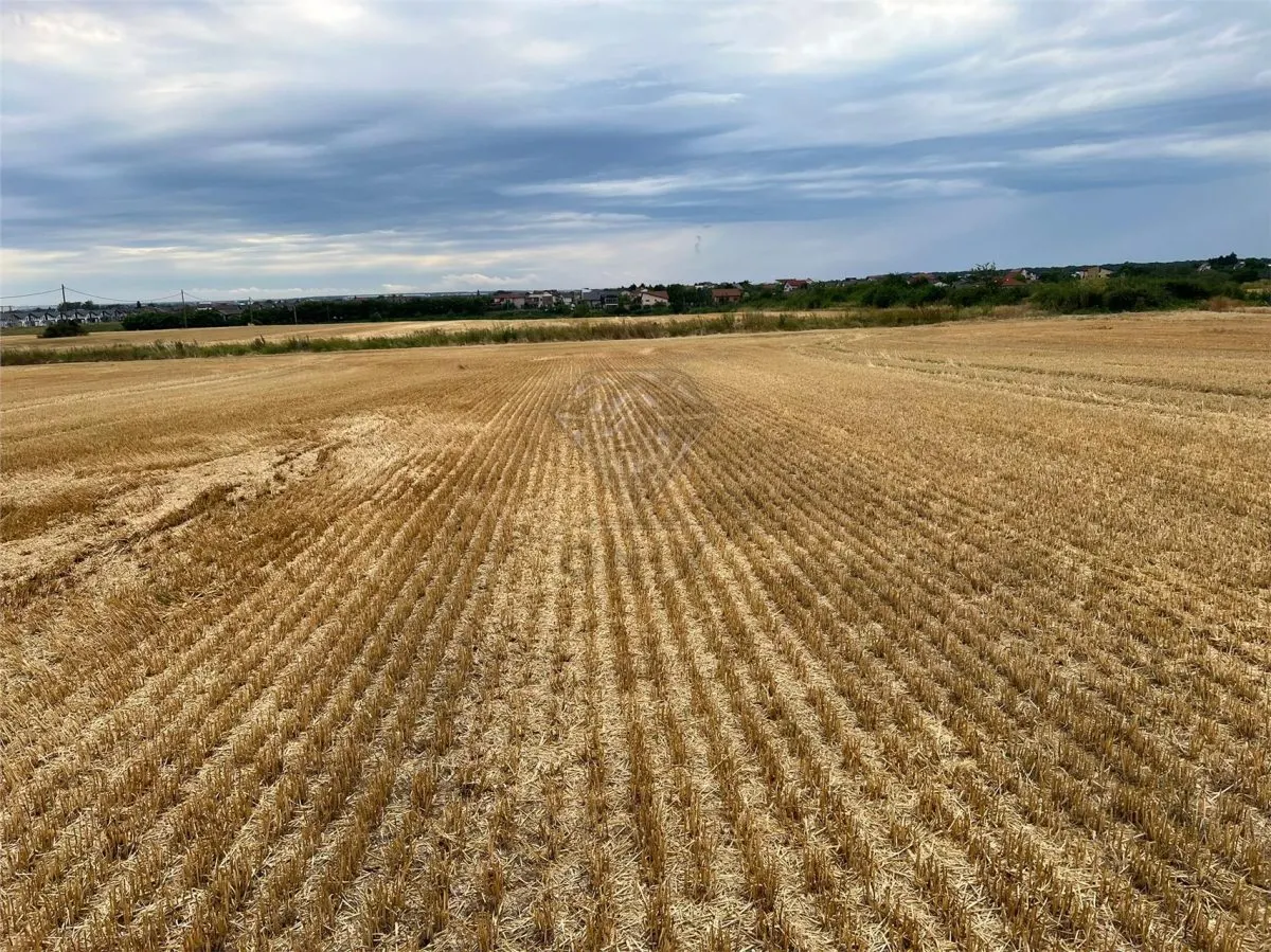 Teren intravilan 7100 mp de vanzare in Paulesti, Cocosesti â€“ ideal pentru locuinte P+2E - foto 4