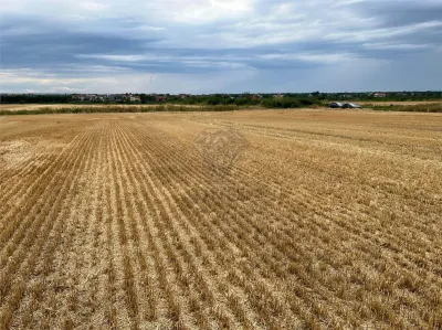 Teren intravilan 7100 mp de vanzare in Paulesti, Cocosesti â€“ ideal pentru locuinte P+2E - foto 5