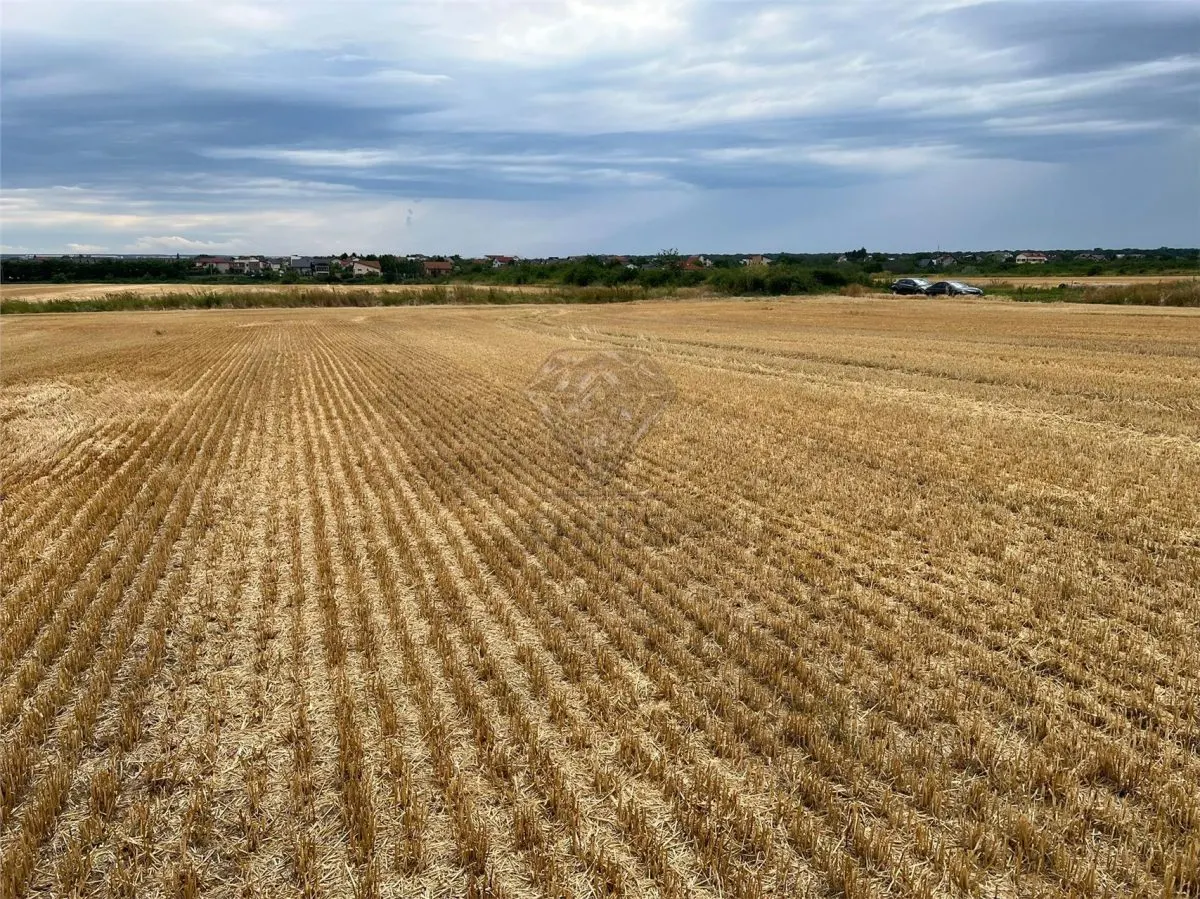 Teren intravilan 7100 mp de vanzare in Paulesti, Cocosesti â€“ ideal pentru locuinte P+2E - foto 5
