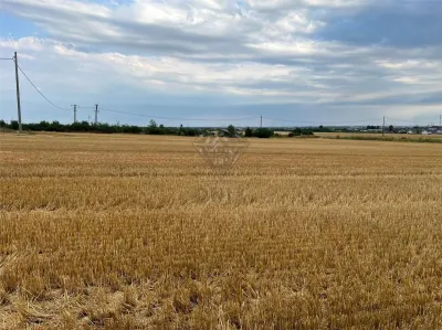 Teren intravilan 7100 mp de vanzare in Paulesti, Cocosesti â€“ ideal pentru locuinte P+2E - foto 6