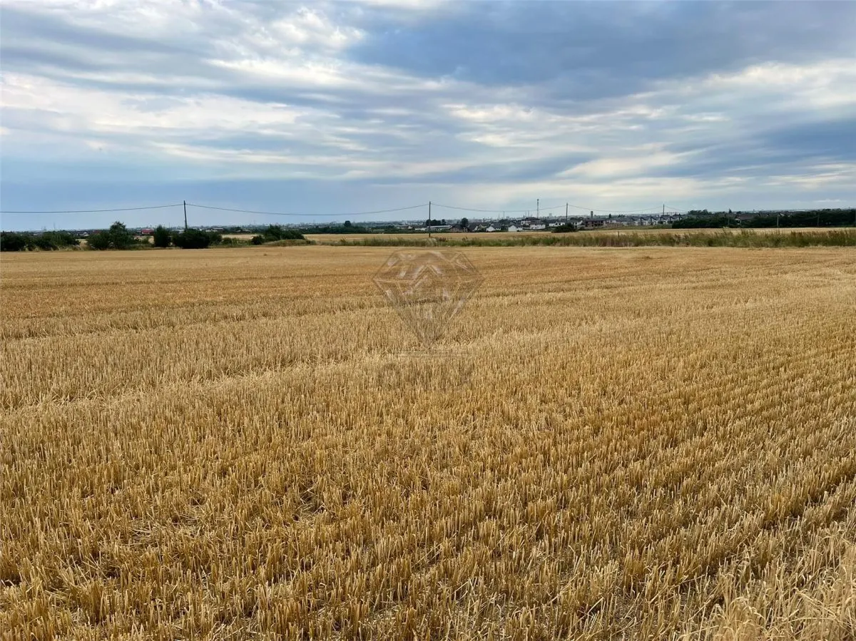 Teren intravilan 7100 mp de vanzare in Paulesti, Cocosesti â€“ ideal pentru locuinte P+2E - foto 7