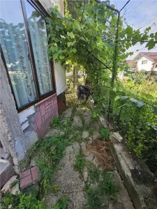 Casa spatioasa 6 camere de vanzare Maneciu-Ungureni, Prahova â€“ Teren 551 mp - foto 15