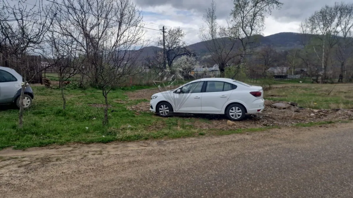 TEREN GURA VITIOAREI - foto 1