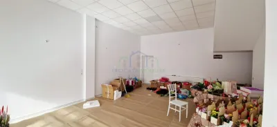 CASA / VILA - SPATIU COMERCIAL FILIASI VANZARE / CHIRIE - foto 21