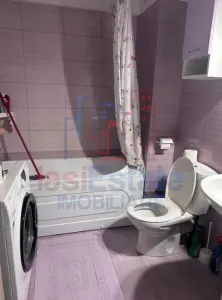 Apartament 1 camera Bucium - foto 5