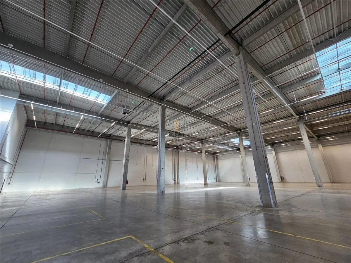 Spatiu Industrial - 7600 mp - Logistica - Productie - Depozitare - Distributie - foto 13