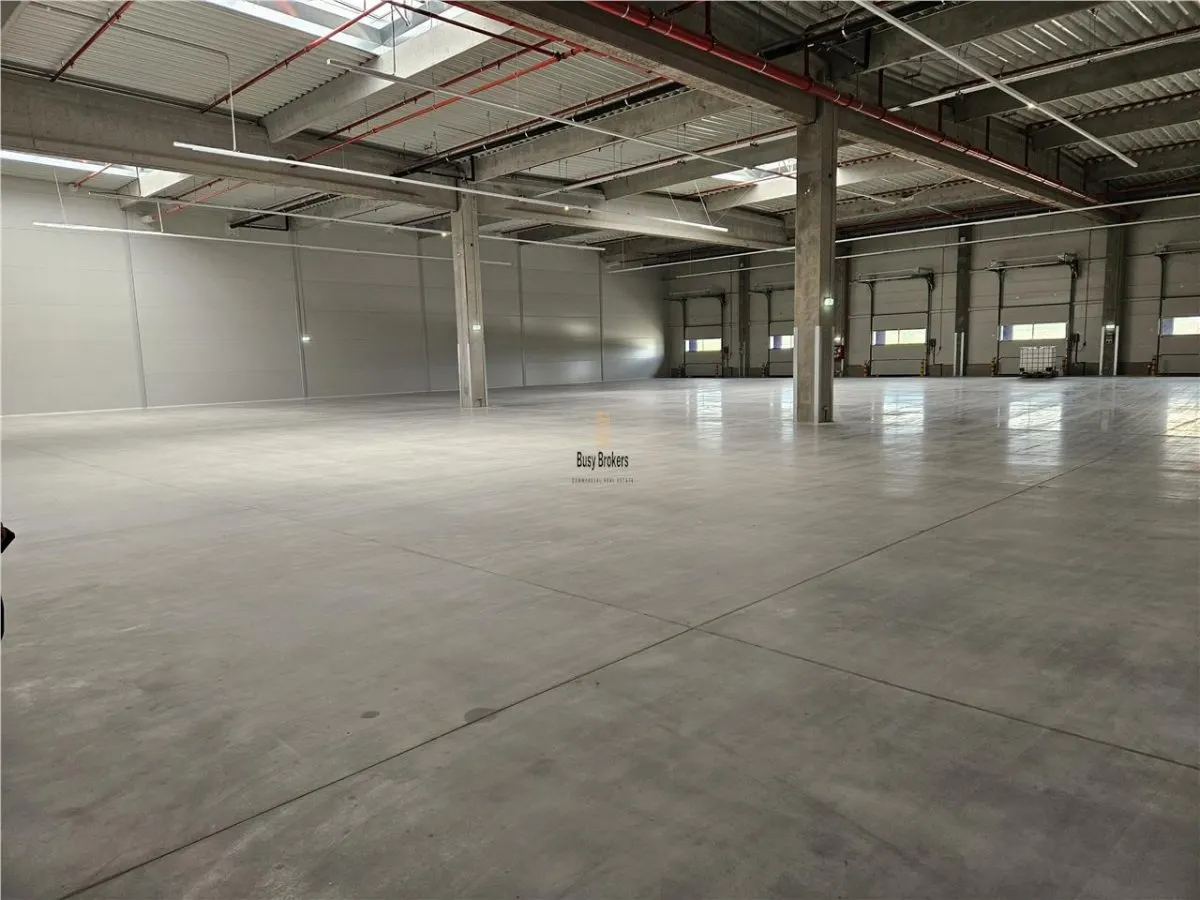 Spatiu Industrial - 7600 mp - Logistica - Productie - Depozitare - Distributie - foto 19