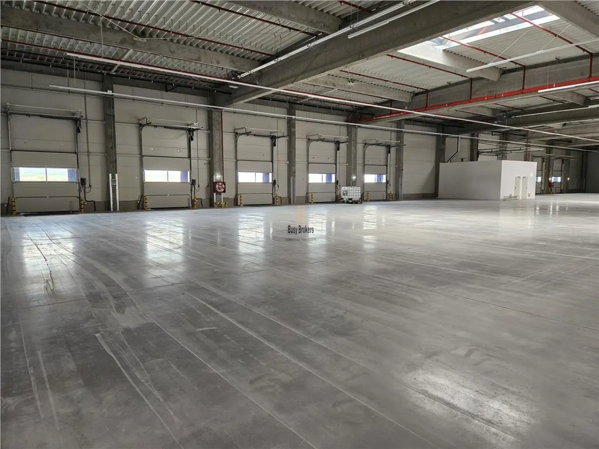 Spatiu Industrial - 7600 mp - Logistica - Productie - Depozitare - Distributie - foto 10