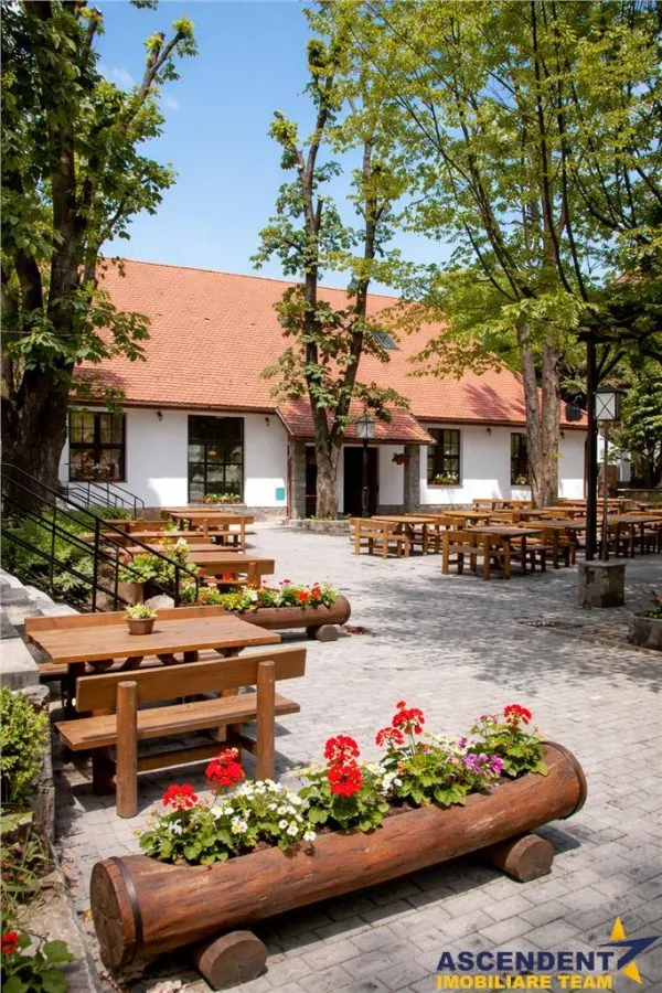 Complex Gastronomic:Afacere la cheie, Restaurant traditional secuiesc+terasa evenimente+carmangerie+ magazin+A - foto 13