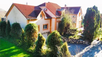 VIDEO | Vila, domeniu privat la Padurea Noroieni | Curte, foisor, jacuzzi - foto 5